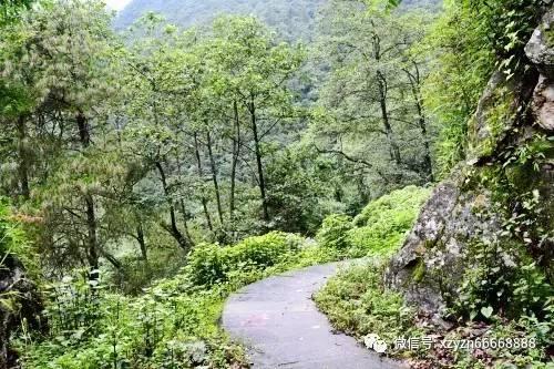 古怪巫师逃离村庄