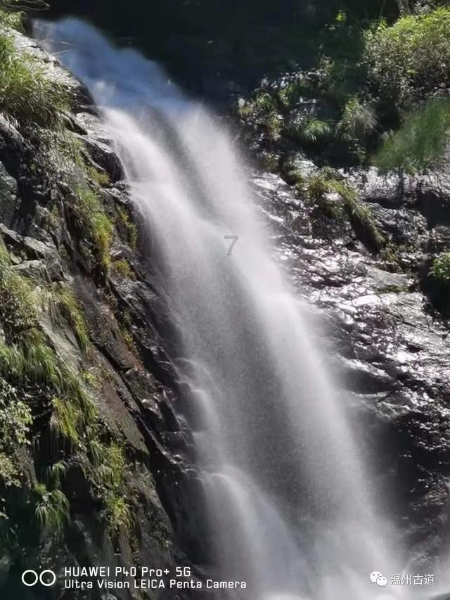 青岛一大妈在市场遛狗不牵绳致咬伤男童，狗主人需要承担什么责任？游戏画面